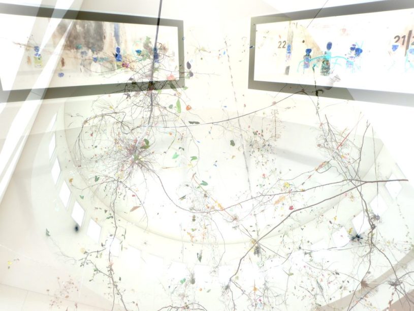 Fundsache Fledermäuse, "Doppelbelichtung"