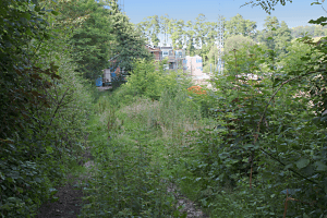 3b1 Bahndamm Juni 16