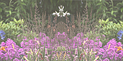 Doppeltes Staudenbeet