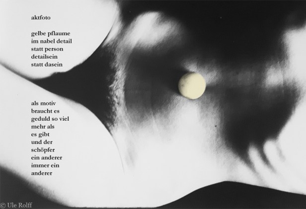 gelbe pflaume im nabel