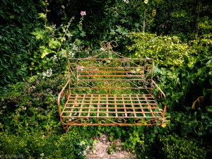 Rostiges Gestell in üppigem Grün