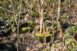 Autoreifen in der Natur