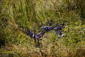 Fahrrad als Mül.l in der Wiese