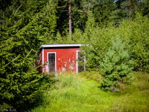 Holzschuppen in schwedischem Gebüsch