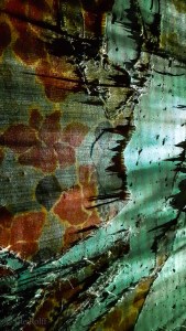 Performance mit Lightshow in Hagen auf Rügen