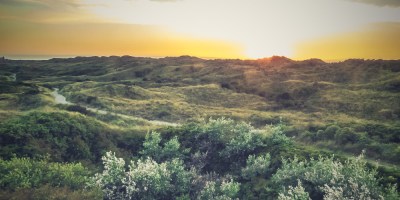 Juister Dünenlandschaft