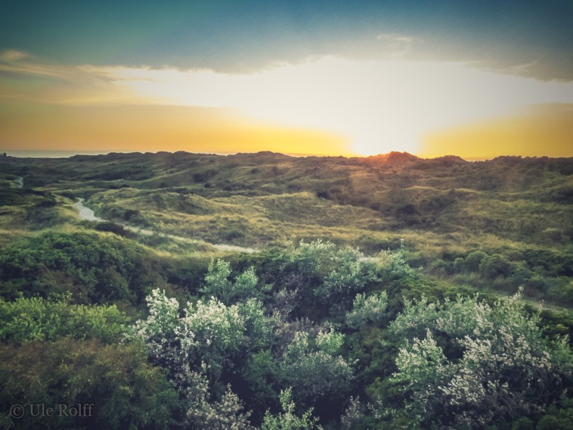 Juister Dünenlandschaft
