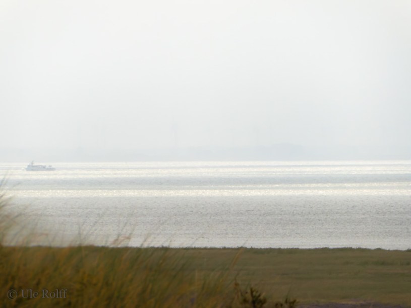 Blick auf das Juister Watt